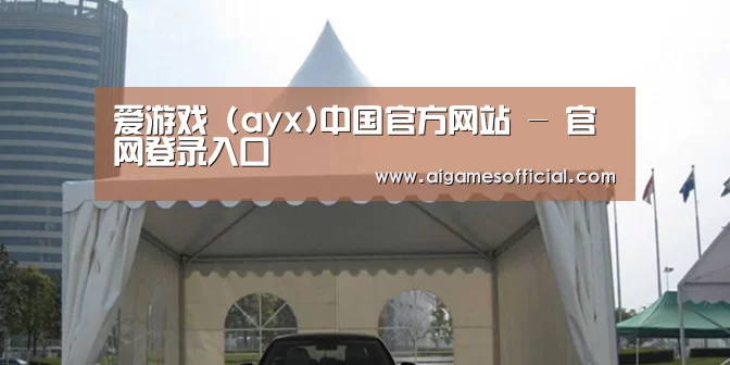 案例标题八