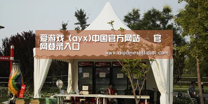 案例标题五
