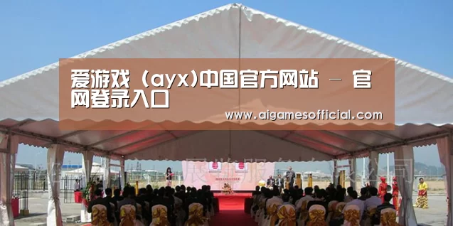 案例标题三
