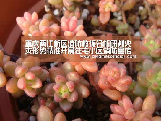 重庆两江新区消防救援分析研判火灾形势精准开展住宅小区消防宣传-爱游戏电竞(图2)