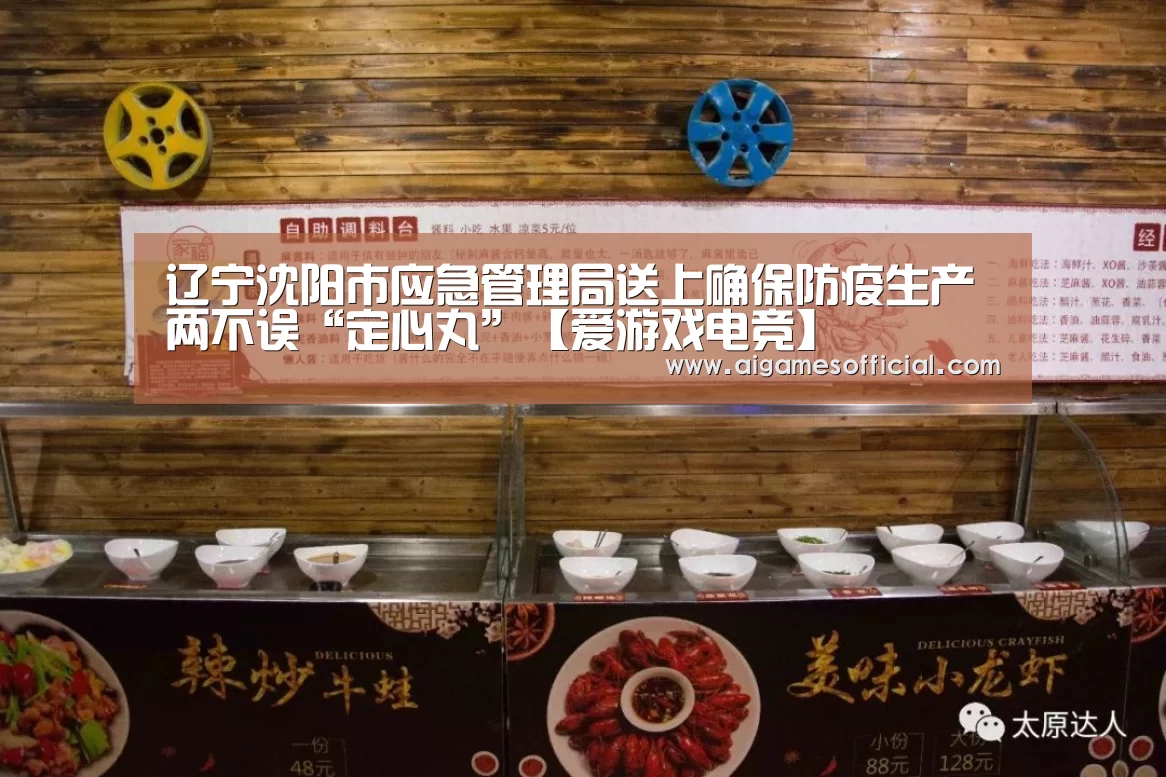 辽宁沈阳市应急管理局送上确保防疫生产两不误“定心丸”【爱游戏电竞】(图3) 爱游戏电竞