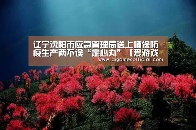 辽宁沈阳市应急管理局送上确保防疫生产两不误“定心丸”【爱游戏电竞】(图2) 辽宁沈阳市应急管理局送上确保防疫生产两不误“定心丸”【爱游戏电竞】(图2)