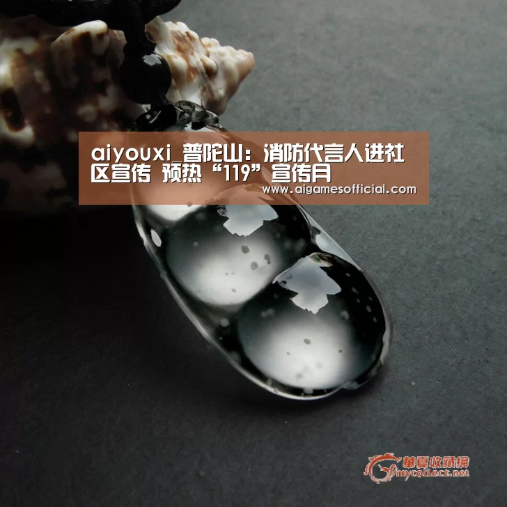 aiyouxi_普陀山：消防代言人进社区宣传 预热“119”宣传月(图4)