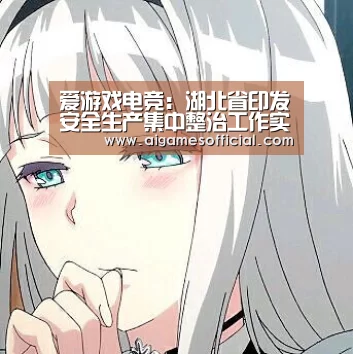 爱游戏电竞：湖北省印发安全生产集中整治工作实施方案(图1)
