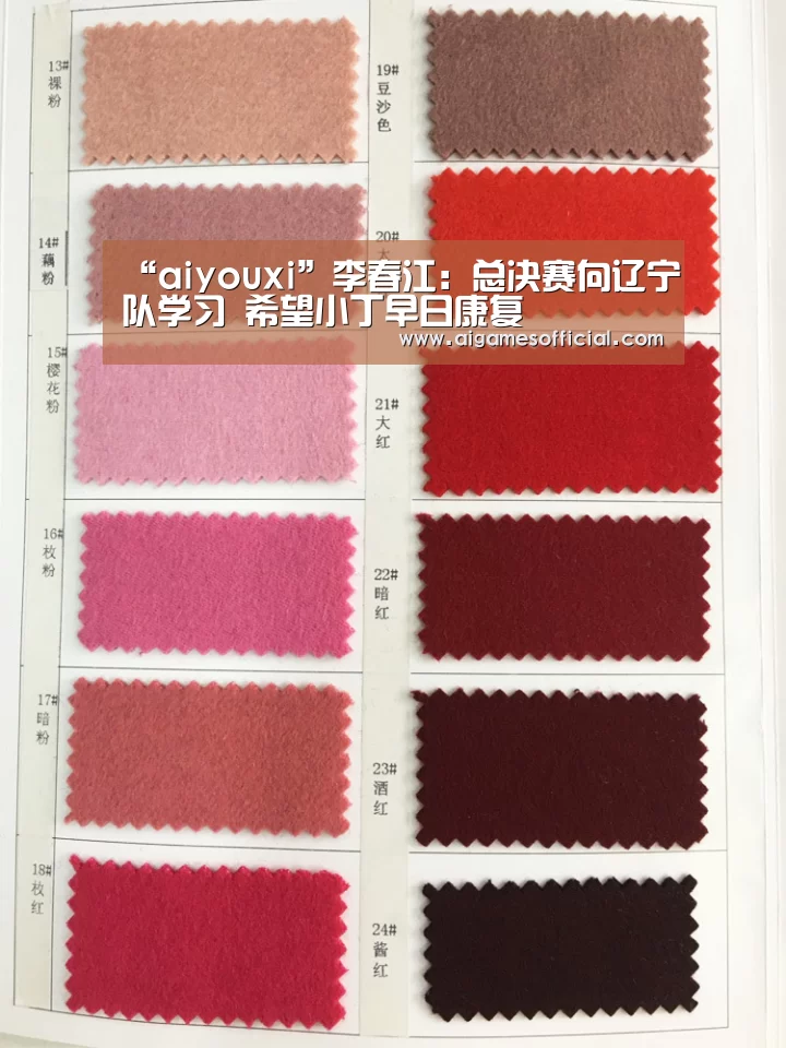 “aiyouxi”李春江:总决赛向辽宁队学习 希望小丁早日康复(图2) “aiyouxi”李春江:总决赛向辽宁队学习 希望小丁早日康复(图2)